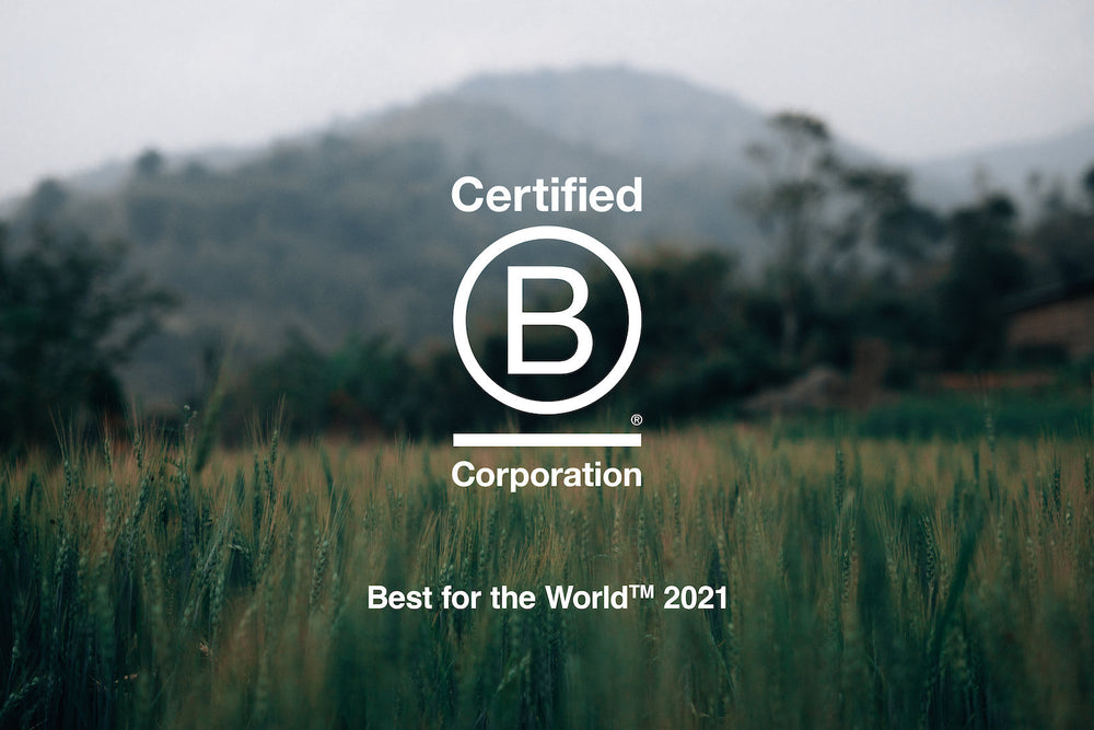 B Corp 'Best for the World™' 2021