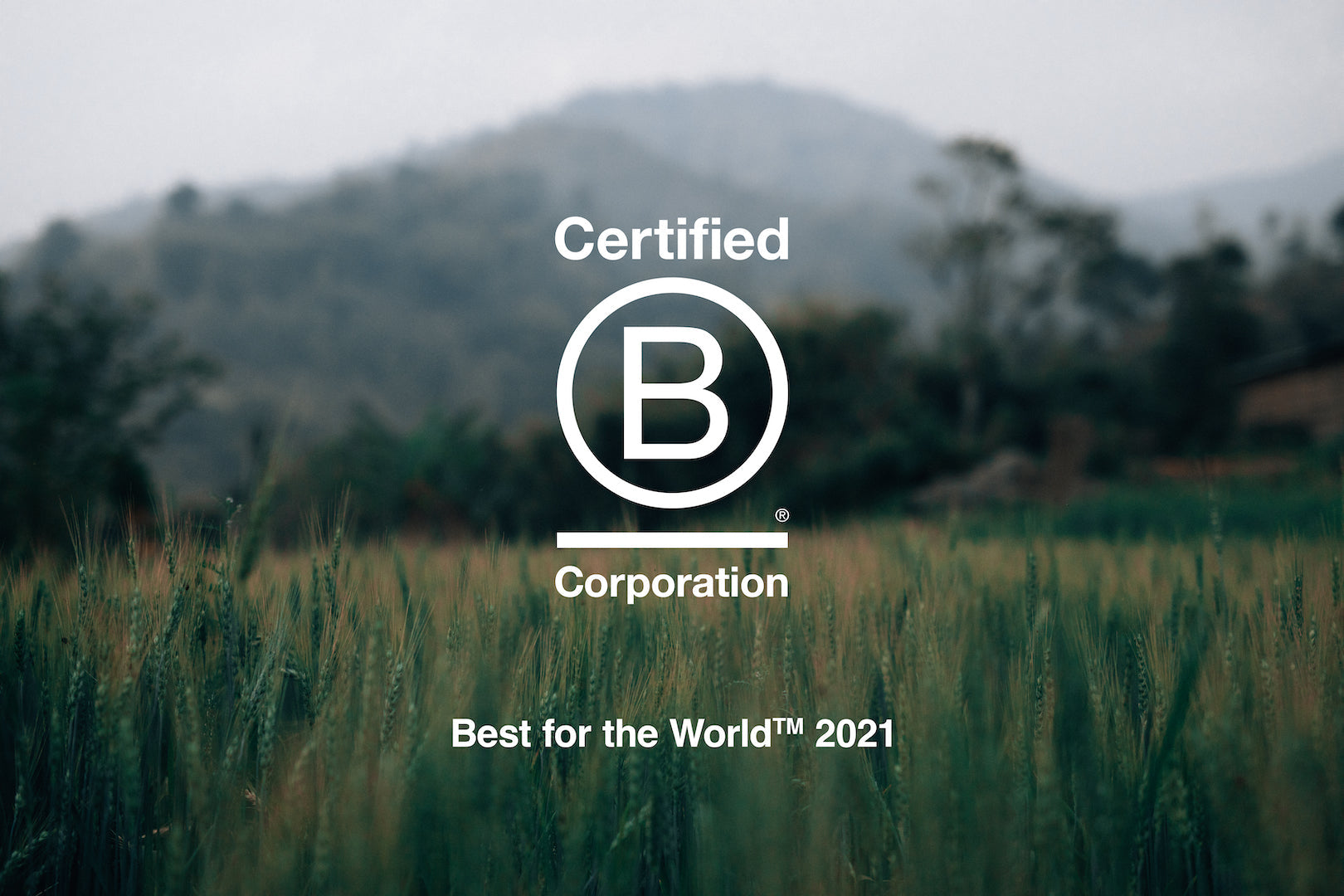 B Corp 'Best for the World™' 2021